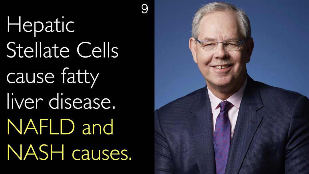 Hepatic Stellate Cells cause fatty liver disease. NAFLD and NASH causes. 9